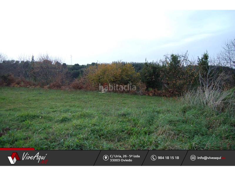 Foto 364589db-c7f8-4cbc-9be4-23e610ca263f. Terreno residenziale in Selorio - Tornón Villaviciosa