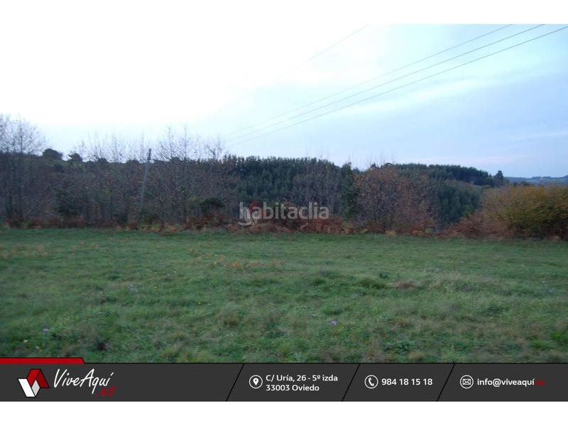Foto 65696a90-dde2-432c-9aec-d9738fbd3fb0. Terreno residenziale in Selorio - Tornón Villaviciosa