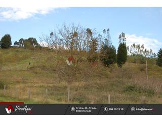 Finca rústica a Villaviciosa - Amandi. Finca ganadera en villaviciosa