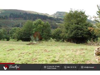 Finca rústica a Piloña. Parcelas edificables a menos de 12 minutos de infiesto, a 25 min