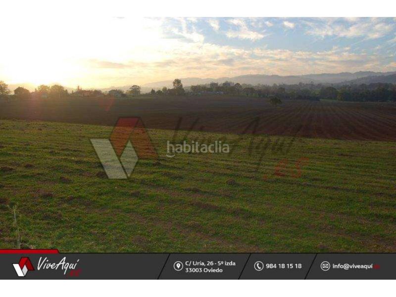 Foto 2a86c1dd-8e67-4af9-b9bd-af5d6217a159. Terreny residencial a Llanera