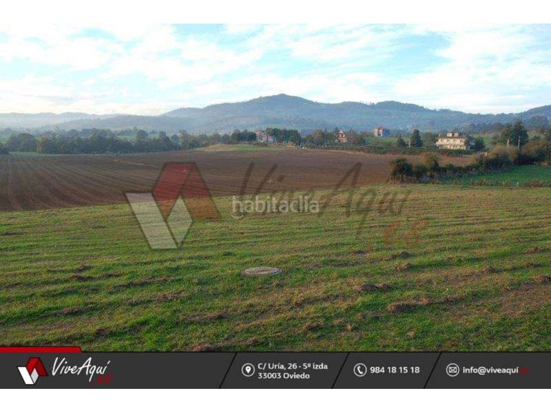 Foto 33bbd924-178a-4ae5-bb8f-91b86f0702b7. Terreny residencial a Llanera