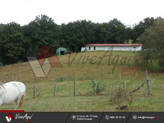 Finca rústica a Piloña. Granja de cria de pitu caleya, en funcionamiento, 84.648 m2 de t