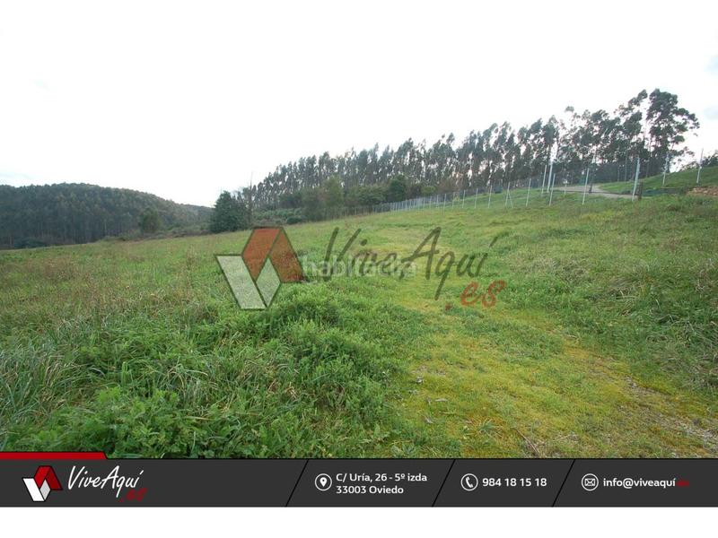 Foto 9f2d011d-e813-48a7-8262-e687eeff8c46. Finca rústica terreno en venta en manzaneda en Verdicio-Bañugues-Cabo Peña Gozón