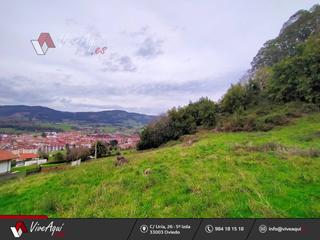 Finca rústica a Villaviciosa - Amandi. 4 parcelas en venta a 5 minutos, andando, del centro de villavic