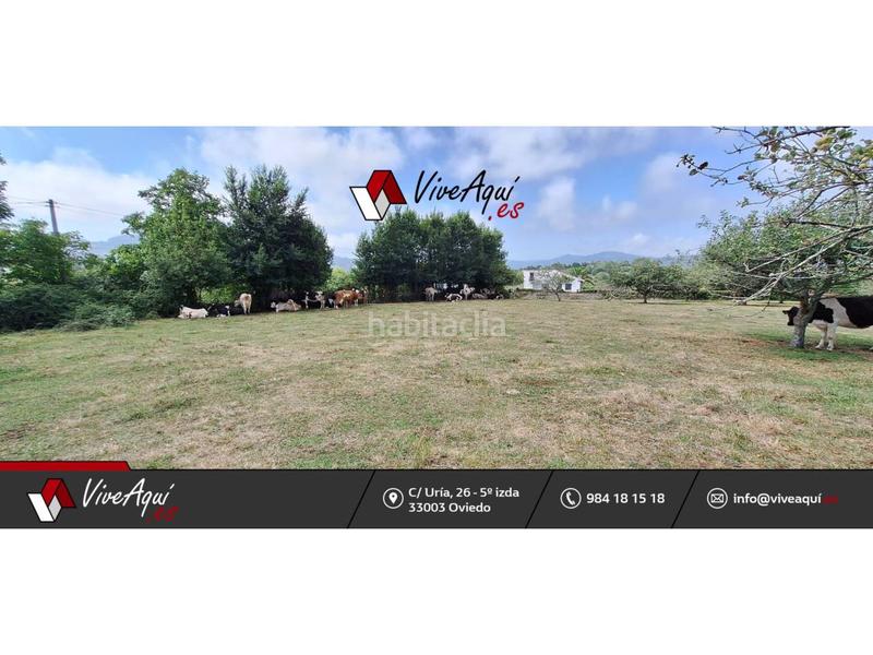 Foto 15b5ed2d-b243-4744-b550-a0bc87d9626c. Terreno residenziale in Selorio - Tornón Villaviciosa