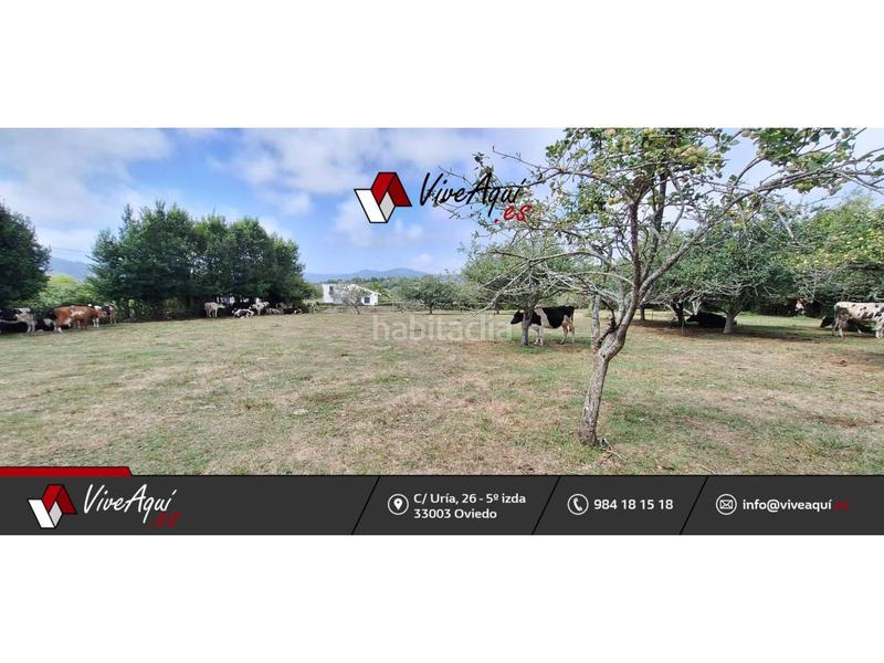 Foto 270c092a-359c-4a32-92b7-e815bd943a20. Terreno residenziale in Selorio - Tornón Villaviciosa