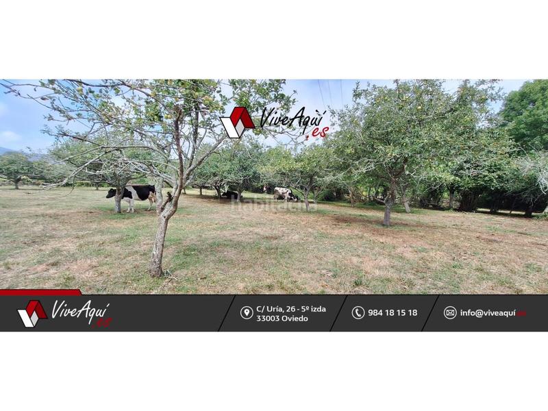 Foto 6e702c31-5ef4-4010-a22b-5a94b0c34062. Terreno residenziale in Selorio - Tornón Villaviciosa