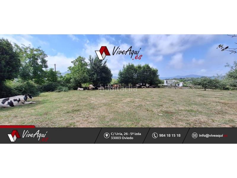 Foto fd378c8e-99c7-4e4b-8175-6c174acaf30d. Terreno residenziale in Selorio - Tornón Villaviciosa