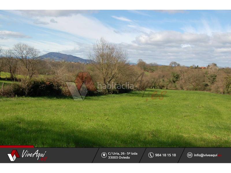 Foto 476eefd0-96b6-44d4-8574-8c99eceffd3d. Finca rústica a pumares sn a Viella-Granda-Meres Siero