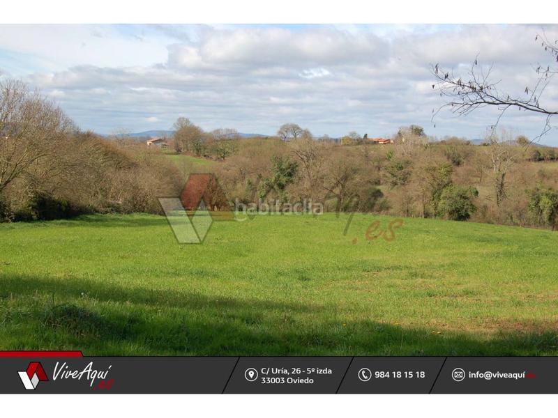 Foto 52cd8ed4-09be-4579-b27d-a4deebaf78dd. Finca rústica a pumares sn a Viella-Granda-Meres Siero