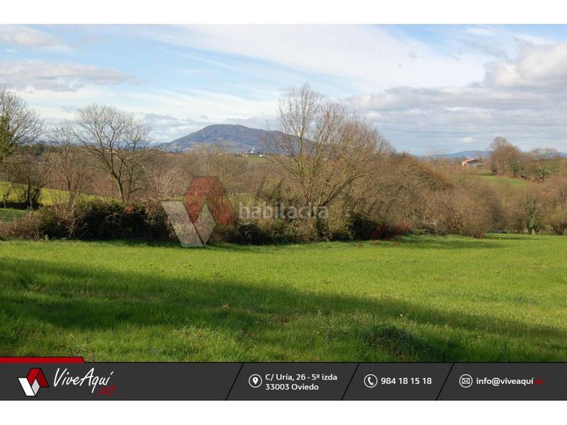 Foto e9244357-085d-4599-9a69-e76869cc5cab. Finca rústica a pumares sn a Viella-Granda-Meres Siero