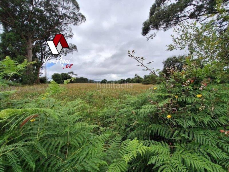 Foto 8c053d0d-ecc8-451b-8cbc-5fecc8b22365. Haus in Tazones - Argüero Villaviciosa