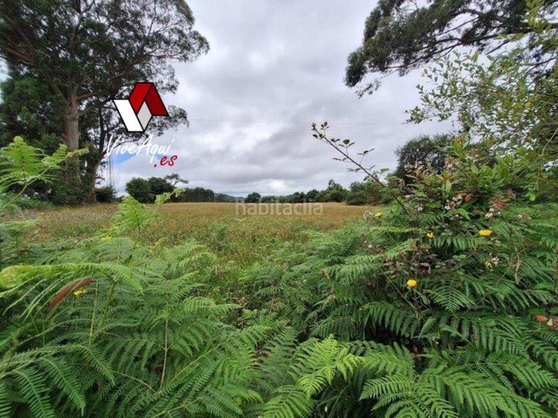 Foto 979c3ee7-5e36-4eea-85d2-c2e9f1eb8484. Haus in Tazones - Argüero Villaviciosa