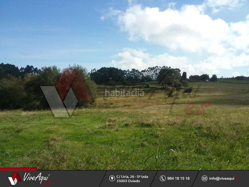 Foto 2fe47374-5718-432c-8a99-30f7d05114f0. Casa caserio de 45.449 m2 de parcela con 2 edificaciones para reformar a su gusto, que suman unos 300m2. en Villaviciosa