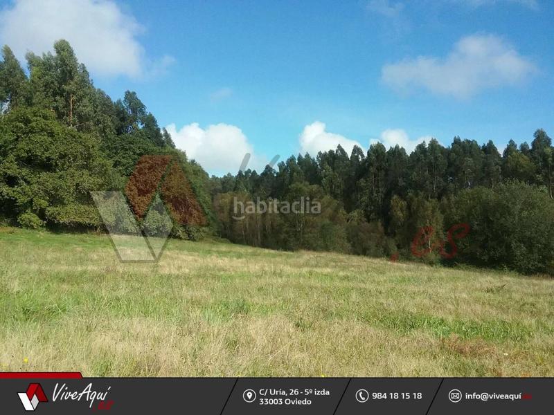 Foto 35c3c40b-e539-457a-a951-0b49c7a97ffa. Casa caserio de 45.449 m2 de parcela con 2 edificaciones para reformar a su gusto, que suman unos 300m2. en Villaviciosa