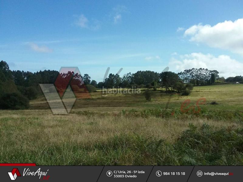 Foto 46171984-143c-4e63-95cb-f8408907c354. Casa caserio de 45.449 m2 de parcela con 2 edificaciones para reformar a su gusto, que suman unos 300m2. en Villaviciosa