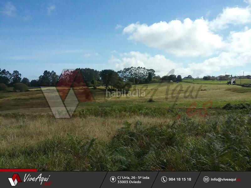 Foto 532ad79f-44b4-4adf-92ef-ffc87090d016. Casa caserio de 45.449 m2 de parcela con 2 edificaciones para reformar a su gusto, que suman unos 300m2. en Villaviciosa