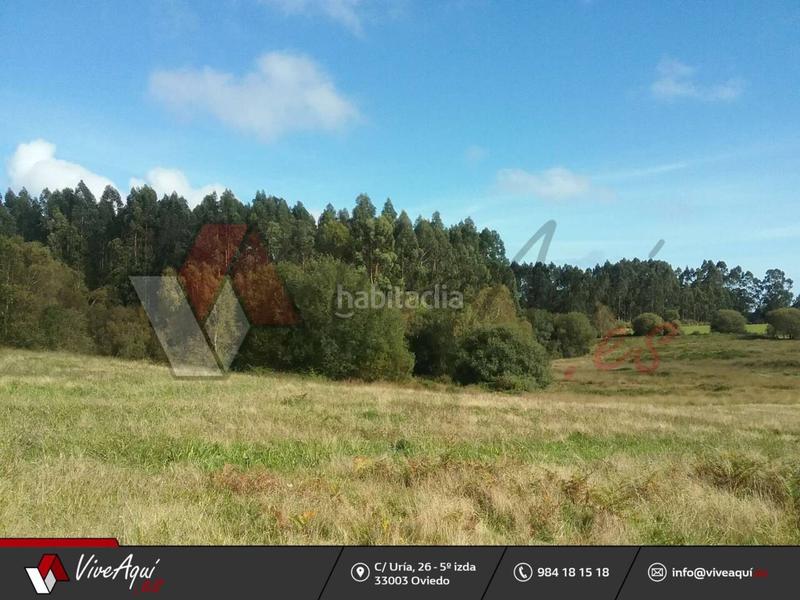 Foto f74390e3-8c47-4bb3-aac2-b6f03528ae1c. Casa caserio de 45.449 m2 de parcela con 2 edificaciones para reformar a su gusto, que suman unos 300m2. en Villaviciosa