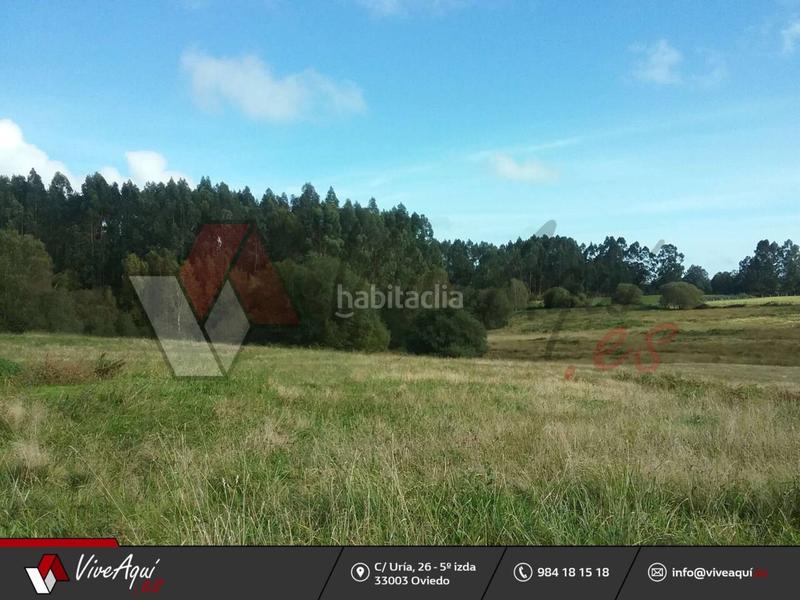 Foto f9e1b573-8d2e-4495-8a4c-6ef073f79617. Casa caserio de 45.449 m2 de parcela con 2 edificaciones para reformar a su gusto, que suman unos 300m2. en Villaviciosa