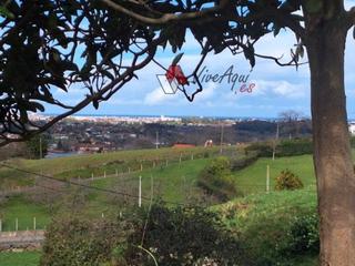 Terreno residenziale in Fano. Parcela de 1.700m2, con proyecto, situada a 10 minutos de gijón