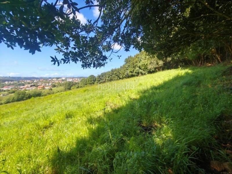 Foto 6eb2ac42-c113-45bd-a47b-4ed89306e8fc. Finca rústica a Soto del Barco