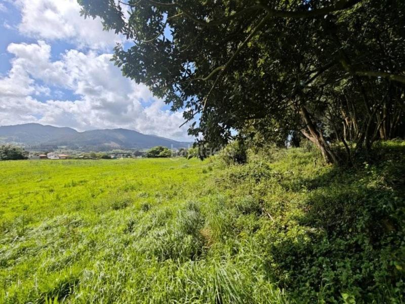 Foto 9c8ac5d7-b98e-4a21-8d5d-e5ce7399c48f. Finca rústica a Soto del Barco