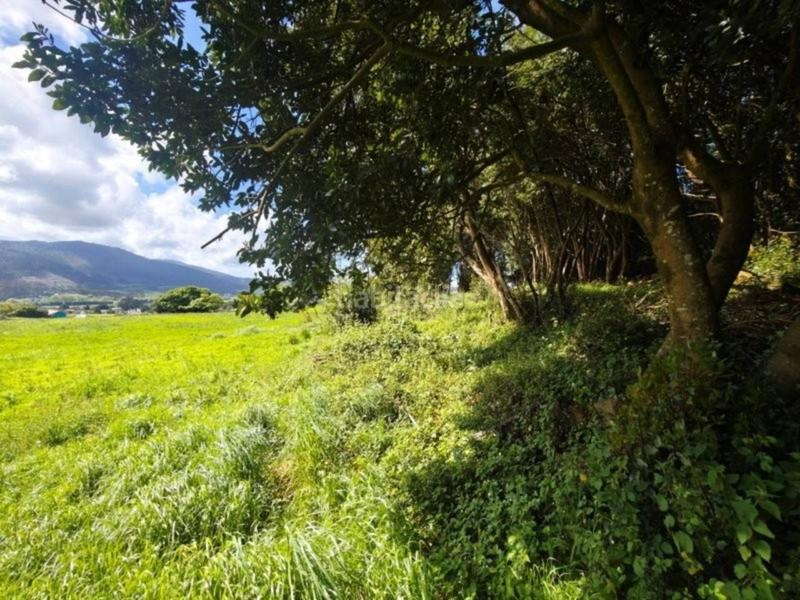 Foto c5f13e25-7e83-4439-9ee3-14d38db75cdc. Finca rústica a Soto del Barco