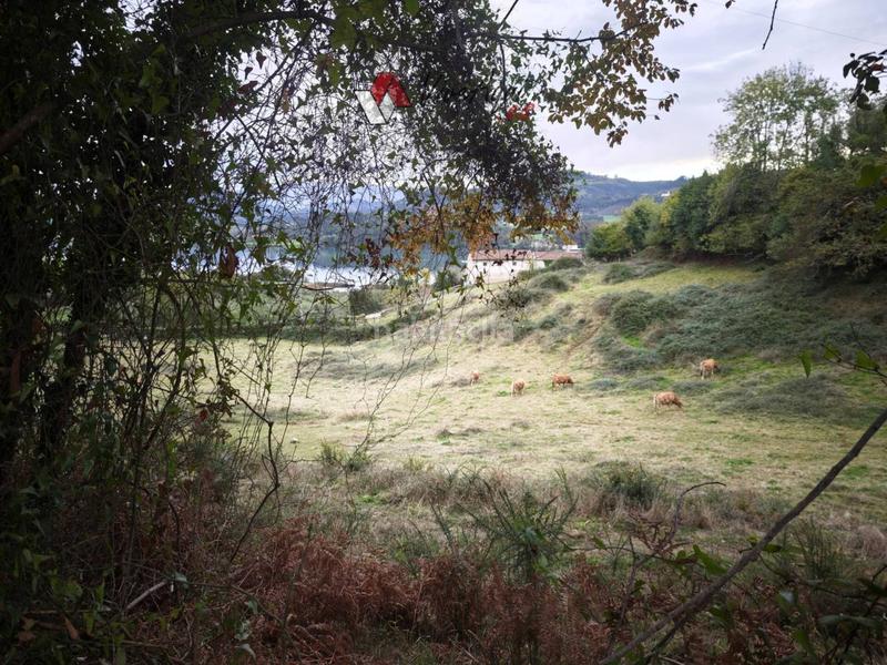 Foto 700b2670-20b8-499b-b756-17a658026c99. Terrain résidentiel dans Tazones - Argüero Villaviciosa