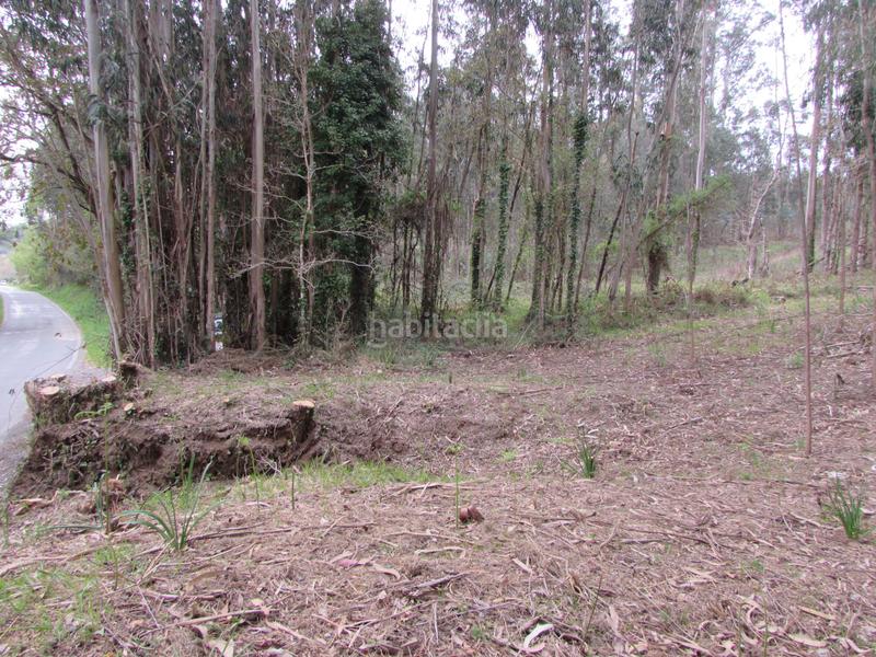 Foto 4fc64b48-be96-41fa-aa04-1de053f1750f. Fondo rustico in dp-0811 55 in Bergondo