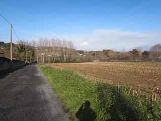 Fondo rustico in O vilar 8