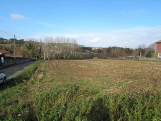 Rural plot in O vilar 8