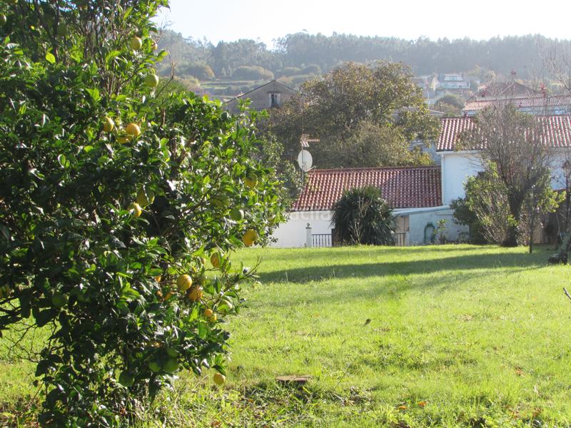 Foto 3c4ea683-1734-4e20-b452-16d9b4ca0ba9. House in empedron 8 in Neda