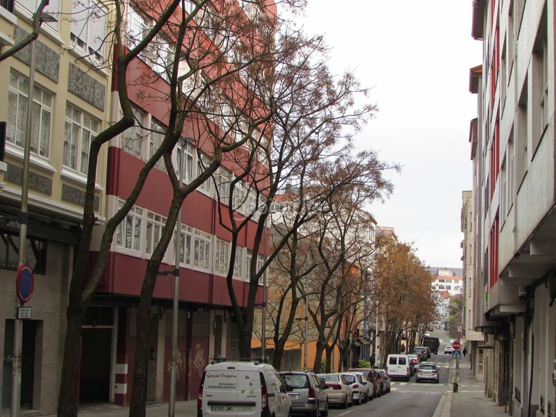 Foto 5c4e0b76-d96a-4d3a-9e1a-31bdfc682c4b. Pis a rúa alcalde usero 55 a Plaza de España Ferrol