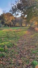 Masia a Padrón. Finca rustica en venta en padron