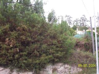 Terreny residencial  Lugar ventosa. Finca en zona roxos