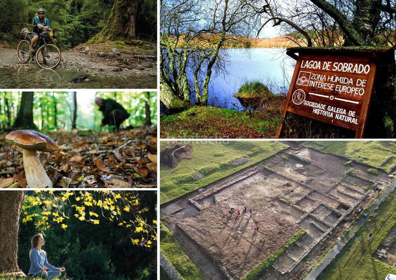 Foto 366befb2-8da4-47a3-96ce-9e8aa2d82c1e. Terreno residencial solar en venta dos monxes en Sobrado