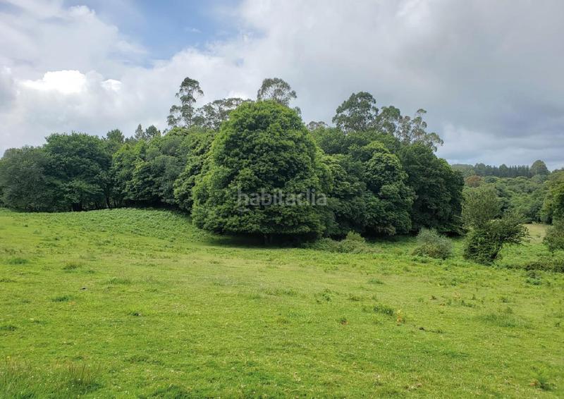 Foto 7ec220bf-0554-4765-8b5e-eae1da0b101e. Terreno residencial solar en venta dos monxes en Sobrado