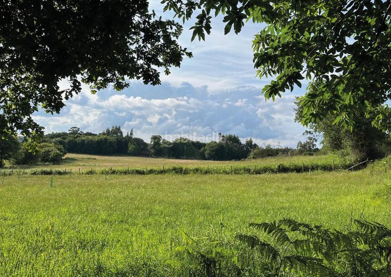 Foto 83b748a1-330e-4d7f-b51f-4b7da2db610c. Terreno residencial solar en venta dos monxes en Sobrado