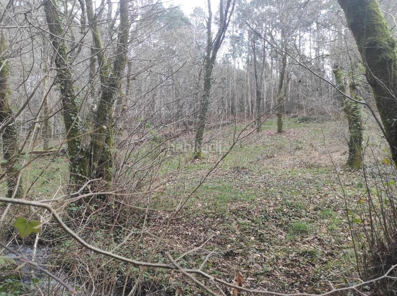 Foto 44af0b79-3084-4aff-9f83-0b87cc071992. Fondo rustico in Parroquias de Santiago Santiago de Compostela