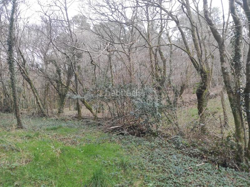 Foto 4a1410ea-8d9c-4a88-8bb8-8829d05ec8c9. Fondo rustico in Parroquias de Santiago Santiago de Compostela