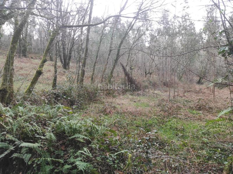 Foto a7ea430d-0878-4d31-87db-ab3bb59121d3. Fondo rustico in Parroquias de Santiago Santiago de Compostela