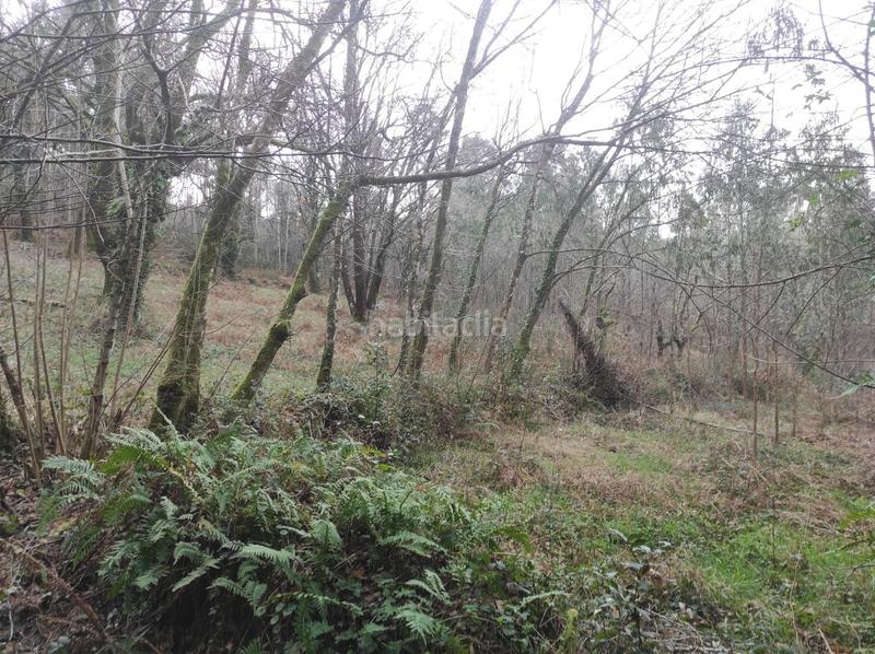 Foto fac5c09c-aab9-4cb0-bdbb-406d6b3ffa00. Fondo rustico in Parroquias de Santiago Santiago de Compostela