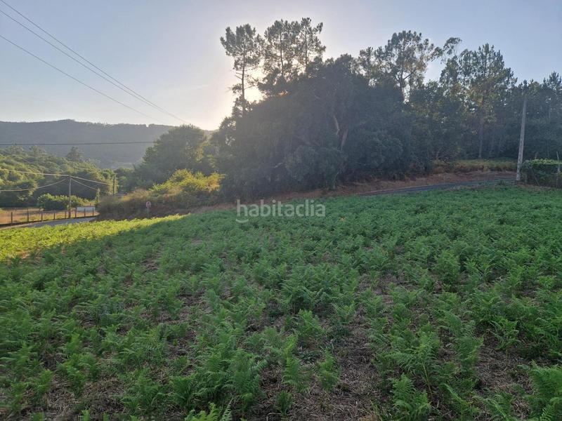 Foto 01e4ee68-e4d1-4473-92b5-357e594a9add. Wohngrundstück in Teo