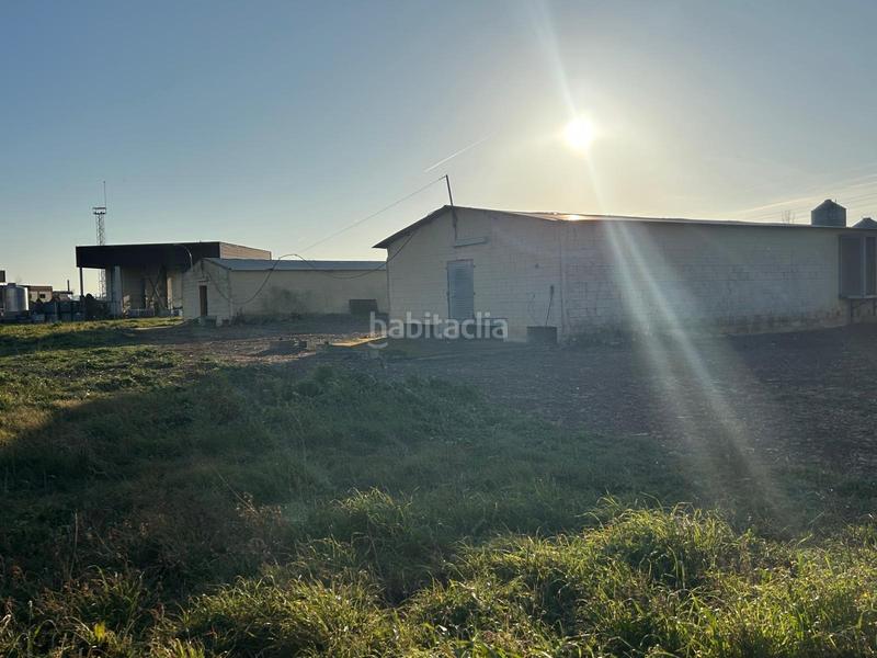 Foto 6fa954b6-83cd-40f7-80c3-c412c6e1022f. Terreny residencial a Caparroso