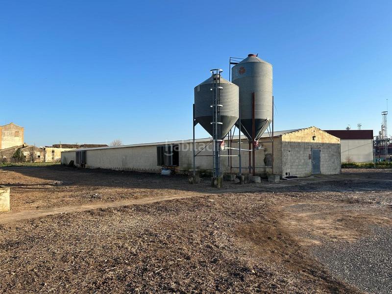 Foto e1ee0f9d-7a06-4cc1-84e0-ff145b8b9fd5. Terreny residencial a Caparroso