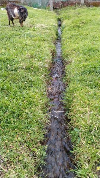 Foto 97628b8b-2b2d-447a-b400-9fbce5bacea0. Fabrikhalle in rúa pérez lugín 29 in Cariño