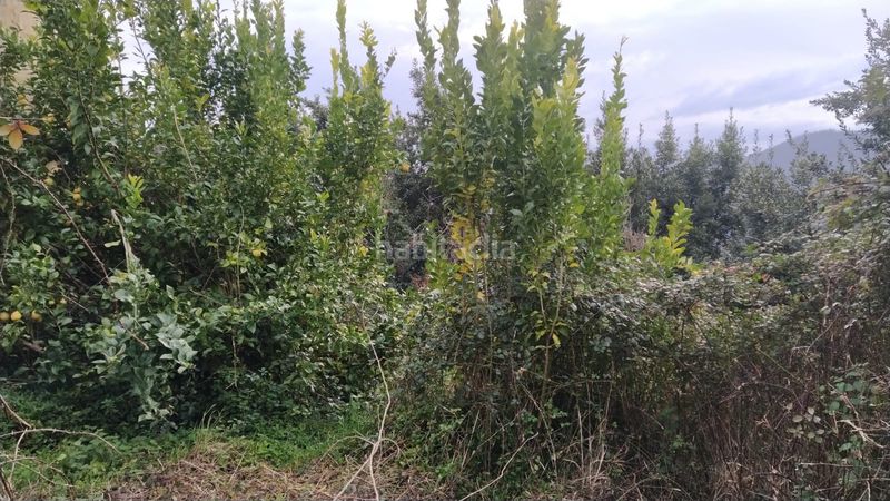 Foto 9cb2735e-cf25-43c3-b70c-70f38097f8c7. Casa a figueiroa 18 a Cariño