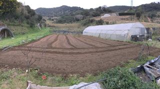 Propriété à Calella. Oportunidad terreno agrícola con certificación de cultivo orgáni