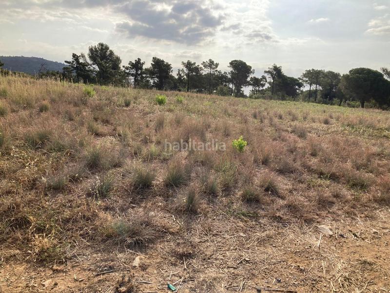 Foto 0343a8b2-402c-44c7-a8d1-418c01de0589. Propriété dans Can Carreras - Montessol Pineda de Mar